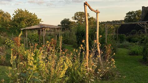 Visite Dun Jardin Naturel Et Pause Gourmande Peut On Concilier Lart