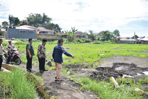 67 Hektar Lahan Pertanian Terdampak Banjir Bandang Warga Batu Taba