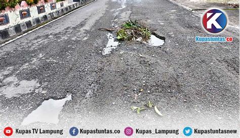 Kupas Tuntas Baru Diperbaiki Ruas Jalan Provinsi Di Way Mengaku