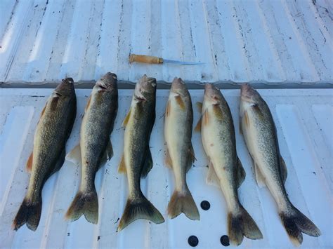 Fall Night Trolling On Mille Lacs Mille Lacs Lake Mille Lacs Lake