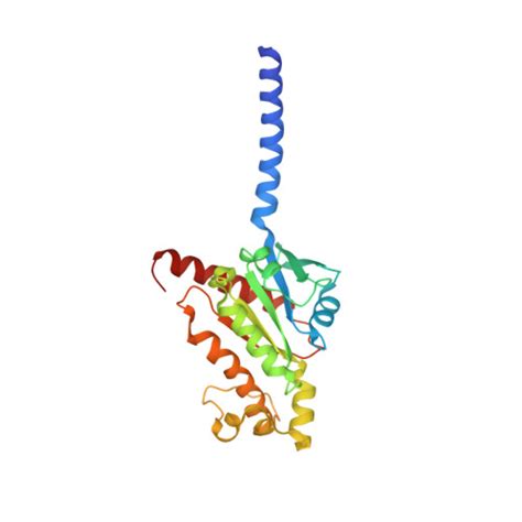 Rcsb Pdb 7f0t Cryo Em Structure Of Dopamine Receptor 1 And Mini Gs