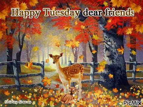 Happy Tuesday Dear Friends Pictures Photos And Images For Facebook