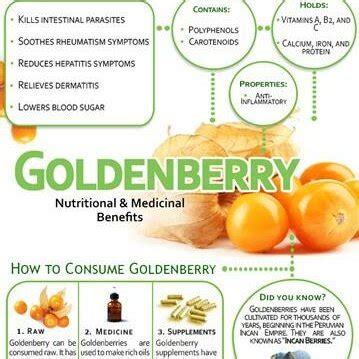 Goldenberry Nutritional and Medicinal Benefits Infographic | Download ...