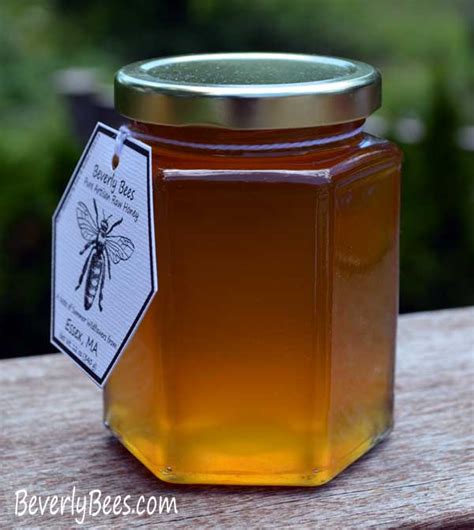 Artisan Honey Varieties - Beverly Bees