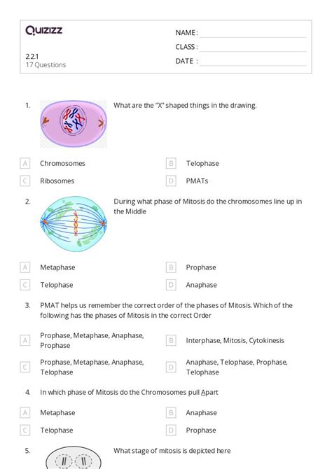 50 Chromosome Structure And Numbers Worksheets For 12th Grade On