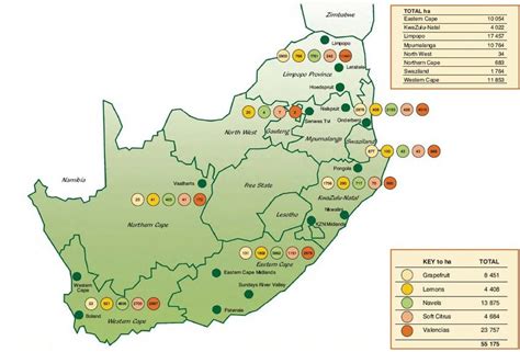 1 The Citrus Producing Regions Of South Africa And Swaziland Showing Download Scientific