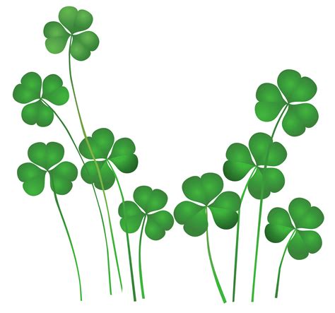 Shamrock Clipart No Background | Free download on ClipArtMag