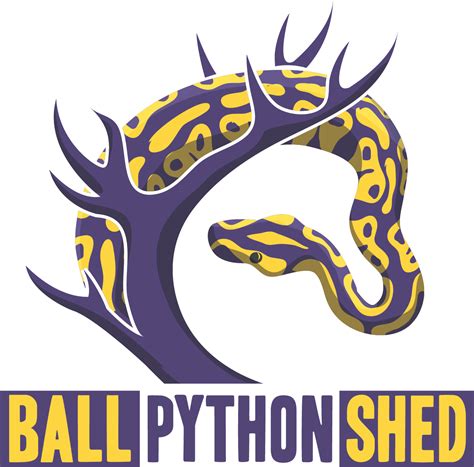 Download Python Logo Clipart Ball Python Illustration Png Download Png Download Pikpng