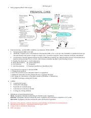 RN23 FINALSTUDYGUIDE PART1 2 Docx OB Final Part 1 1 Early Pregnancy