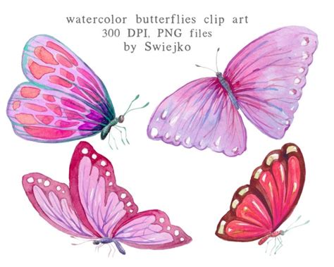 Digital Clipart Watercolor Butterflies Digital Butterflies