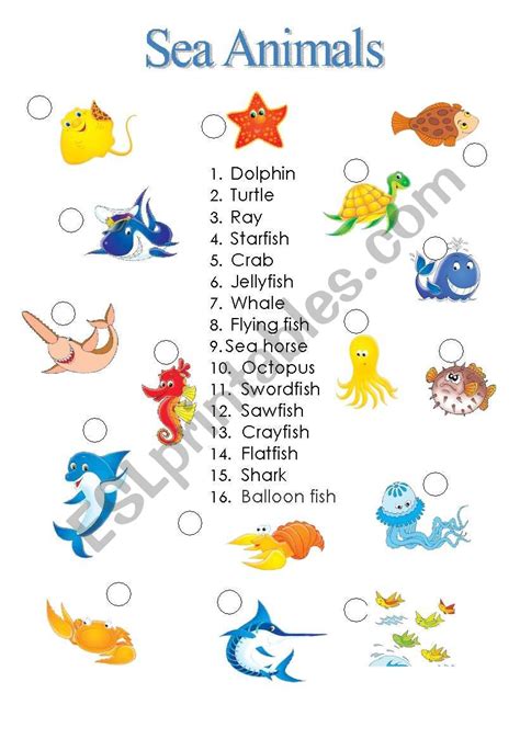 Sea Animals Esl Worksheet By Neigra