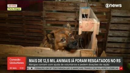 Feira De Ado O De Animais Resgatados No Rio Grande Do Sul V Timas