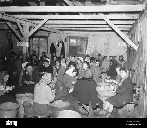 Campo Di Concentramento Di Bergen Belsen Immagini E Fotografie Stock Ad