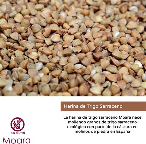 Harina de trigo Sarraceno sin gluten y ecológico MOARA