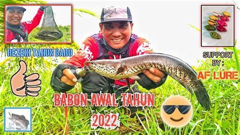 BABON AWAL TAHUN 2022 CASTING GABUS DI SAWAH MEMBAWA BERKAH