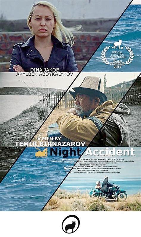 Sección visual de Night Accident FilmAffinity