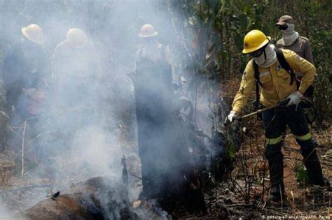 Bolsonaro Niega Los Incendios Forestales Actuales En La Amazonía Futuro Verde