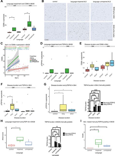 Random Forest Modelling Demonstrates Microglial And Protein Misfolding