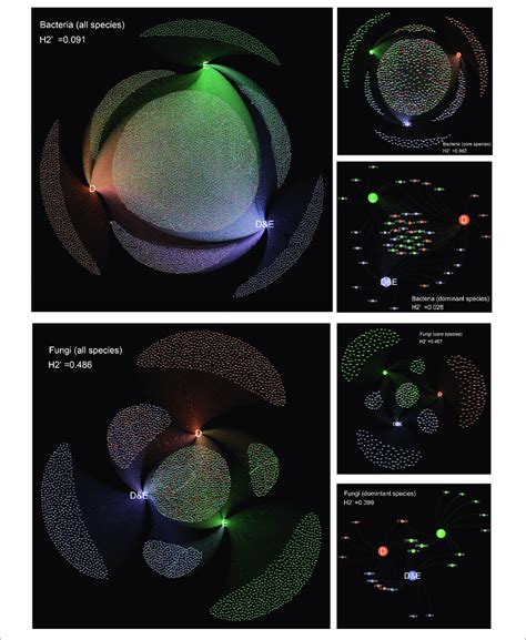 | Microbial community network relationships among different vegetation ... 