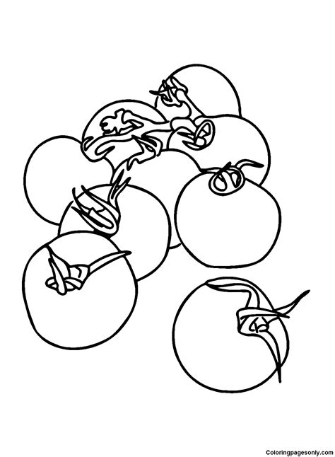 52 Tomato Coloring Pages ColoringPagesOnly