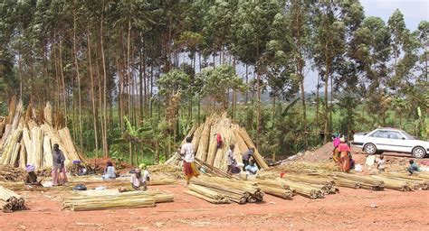 LES RESSOURCES NATURELLES ET LINDUSTRIE MINIÈRE DU TOGO Arise IIP