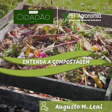 Entenda A Compostagem PET Agronomia