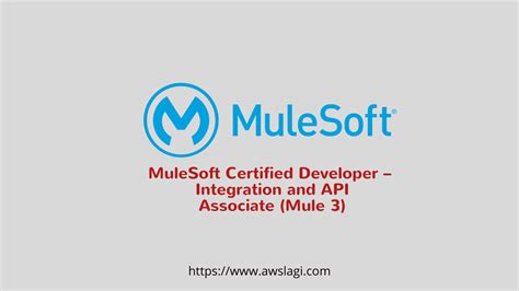 Mulesoft Certified Developer Integration And Api Associate Mule 3 Actual Exam