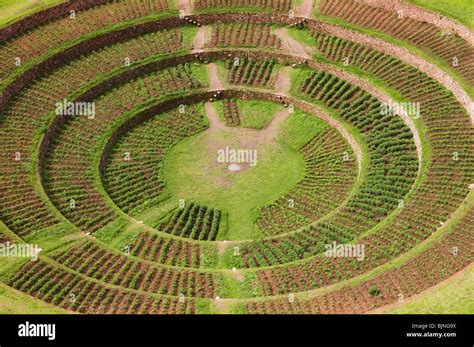 Inca crop terraces, Moray, Peru Stock Photo - Alamy