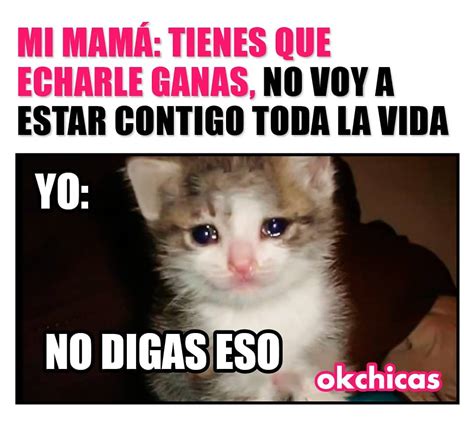 Mi Mamá Tienes Que Echarle Ganas No Voy A Estar Contigo Toda La Vida