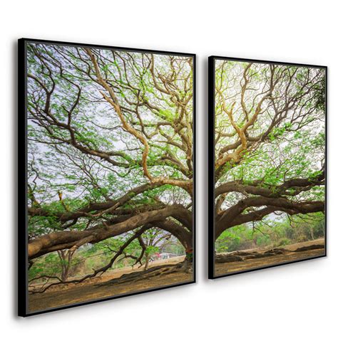 Quadros Decorativos Sala Quadro Paisagem Arvore Grande Quadro Canvas