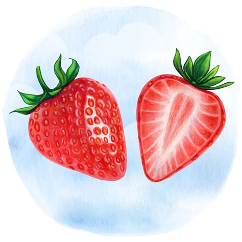 Ilustraci N Realista Media Acuarela De Fresas Vector Premium