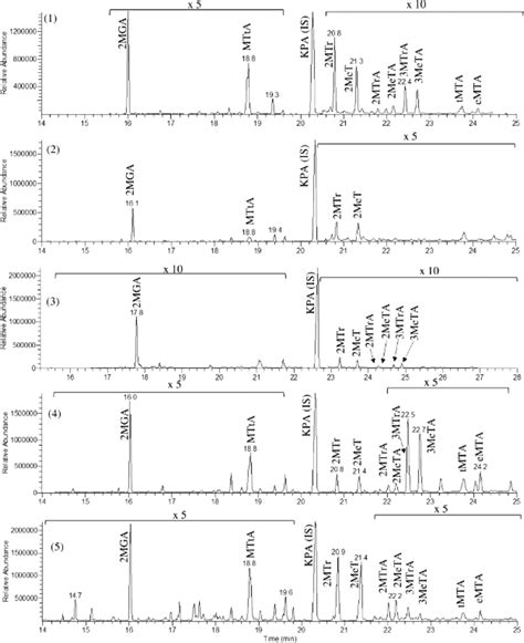 Gc Ms Extracted Ion Chromatograms Of Products Associated With The