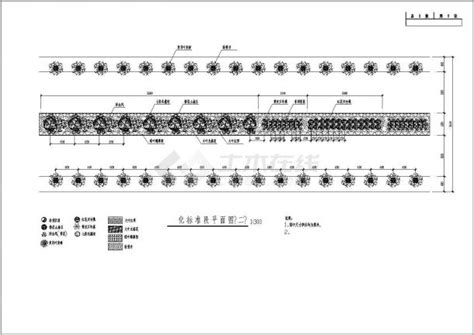 道路绿化标准段平面图、横断面、立面图及绿化大样图交通绿化土木在线