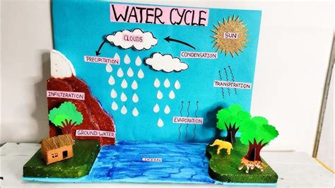 Mahalaxmi Rectangular Water Cycle Model, For School And, 41% OFF