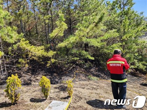 해남 야산에서 불 43분 만에 완진인명피해 없어 네이트 뉴스