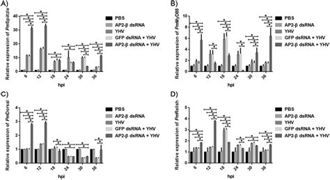 Effect Of Pmap2 β Silencing On The Toll And The Imd Signaling Pathways Download Scientific