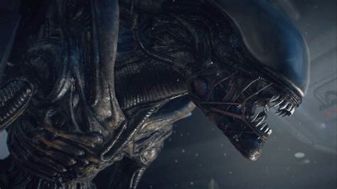 The Entire Alien Story Finally Explained