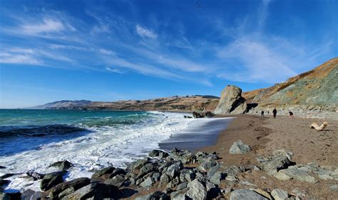 Goat Rock Beach in Jenner, CA - California Beaches