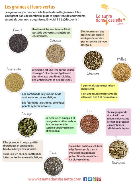 La Santé Dans Lassiette Fiche Pratique 9 Graines Et Leurs Vertus