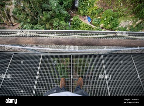 Lookout Platform Rainforest Biome Eden Project Stock Photo Alamy