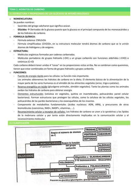 Hidratos De Carbono Karen Shuguli Udocz