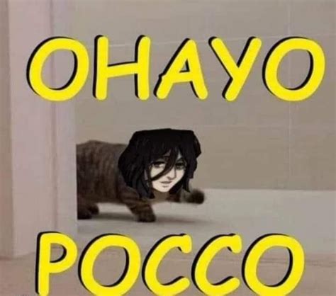 A Cat Walking Across A Bathroom Floor Next To The Words Ohayo Poco