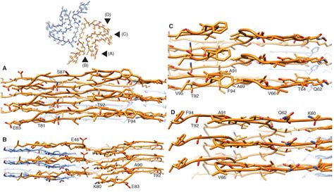 Figures And Data In Cryo Em Structure Of Alpha Synuclein Fibrils Elife