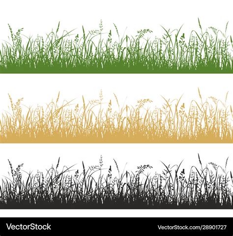 Grass And Meadow Plants Silhouette Royalty Free Vector Image