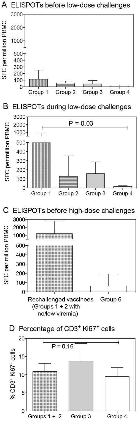 Cellular Responses And T Cell Activation Siv Gag Specific