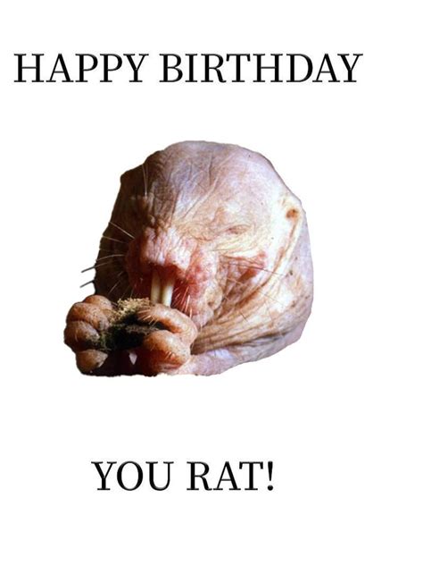 Unique And Funny Naked Mole Rat Birthday Card Perfect For Etsy