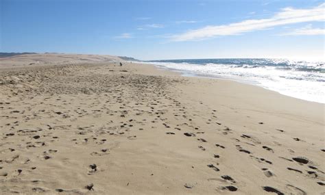 Rancho Guadalupe Dunes Preserve, Guadalupe, CA - California Beaches