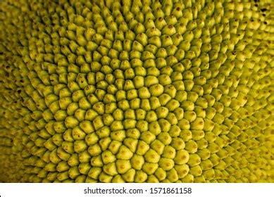 Jackfruit Thorn Surface Blur Jackfruit Background Stock Photo