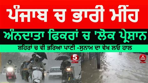 Heavy Rain Punjab Punjab Haryana Heavy Rain Yellow Alert Sunam Video