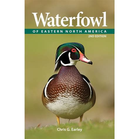 Waterfowl Of Eastern North America Veldshop Nl